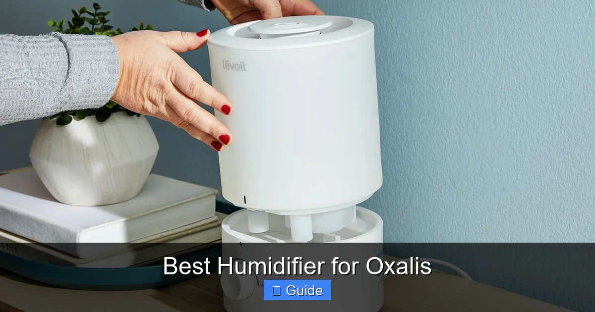 Best Humidifier for Oxalis