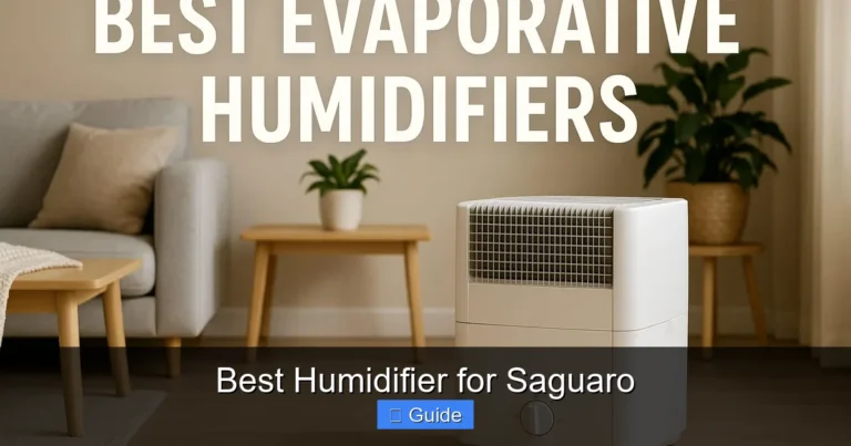 Best Humidifier for Saguaro
