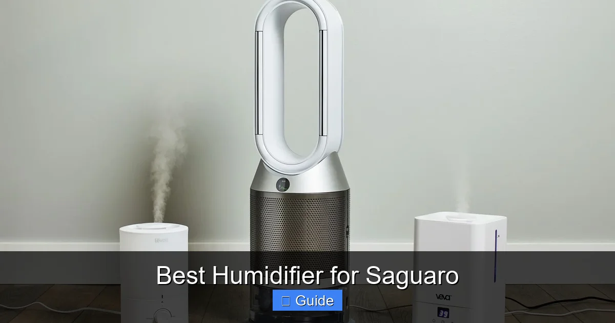 Best Humidifier for Saguaro