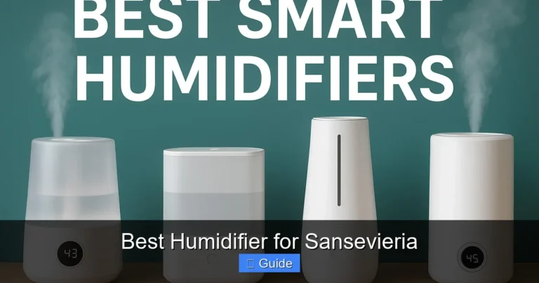 Best Humidifier for Sansevieria