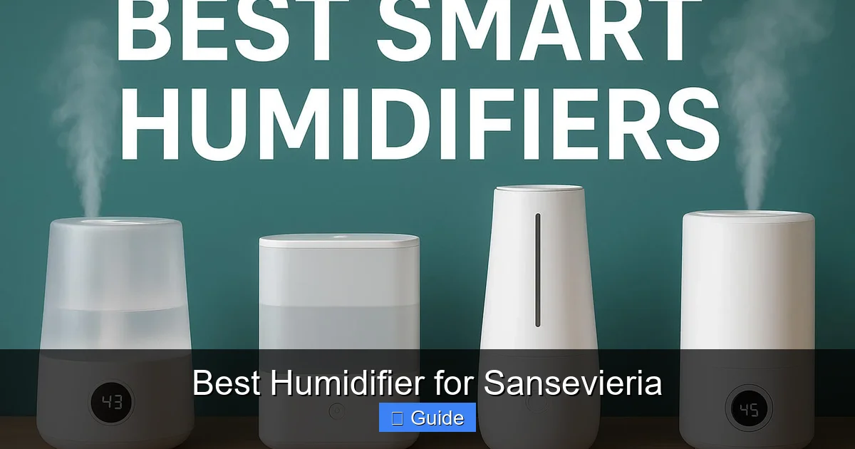 Best Humidifier for Sansevieria