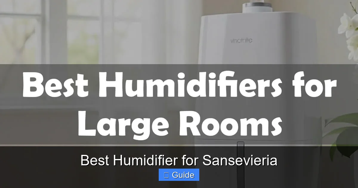 Best Humidifier for Sansevieria
