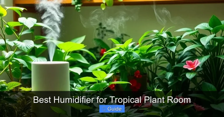 Best Humidifier for Tropical Plant Room