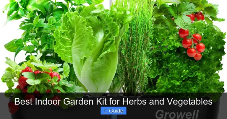 Best Indoor Garden Kit for Herbs and Vegetables