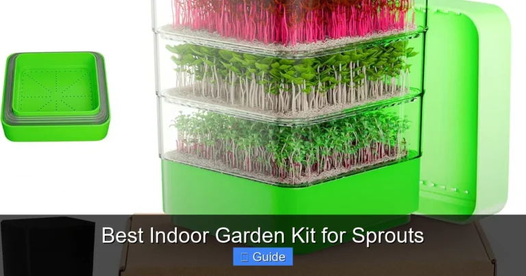 Best Indoor Garden Kit for Sprouts