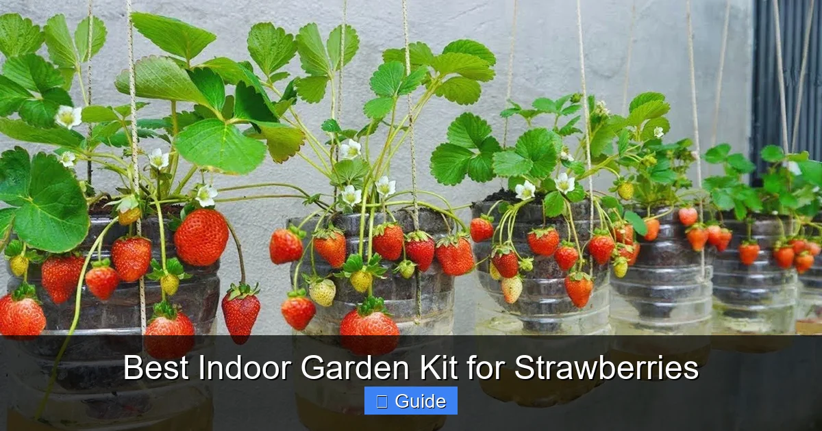 Best Indoor Garden Kit for Strawberries