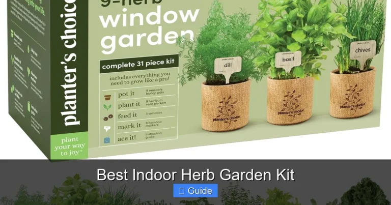 Best Indoor Herb Garden Kit