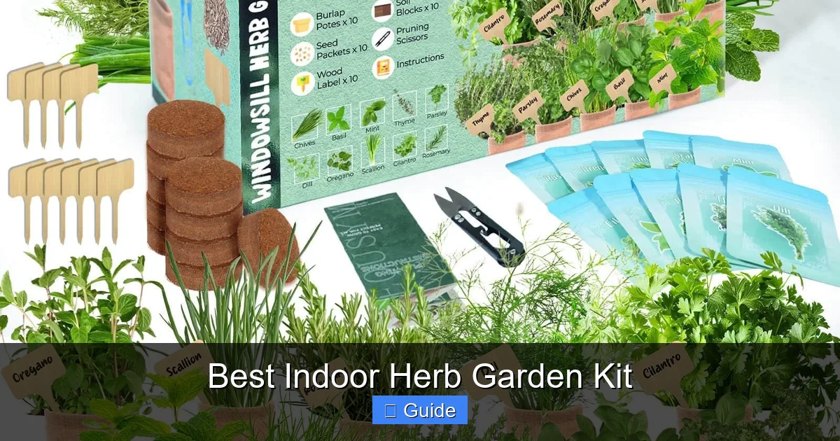 Best Indoor Herb Garden Kit