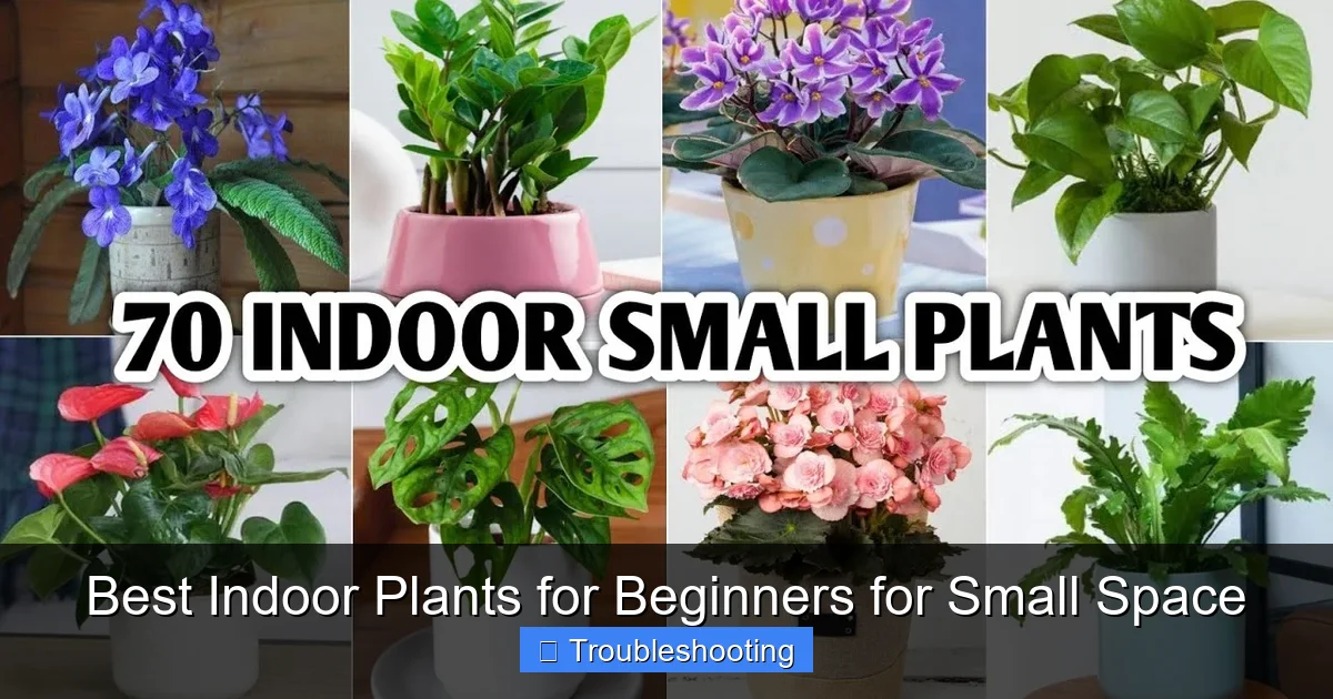 Best Indoor Plants for Beginners for Small Space