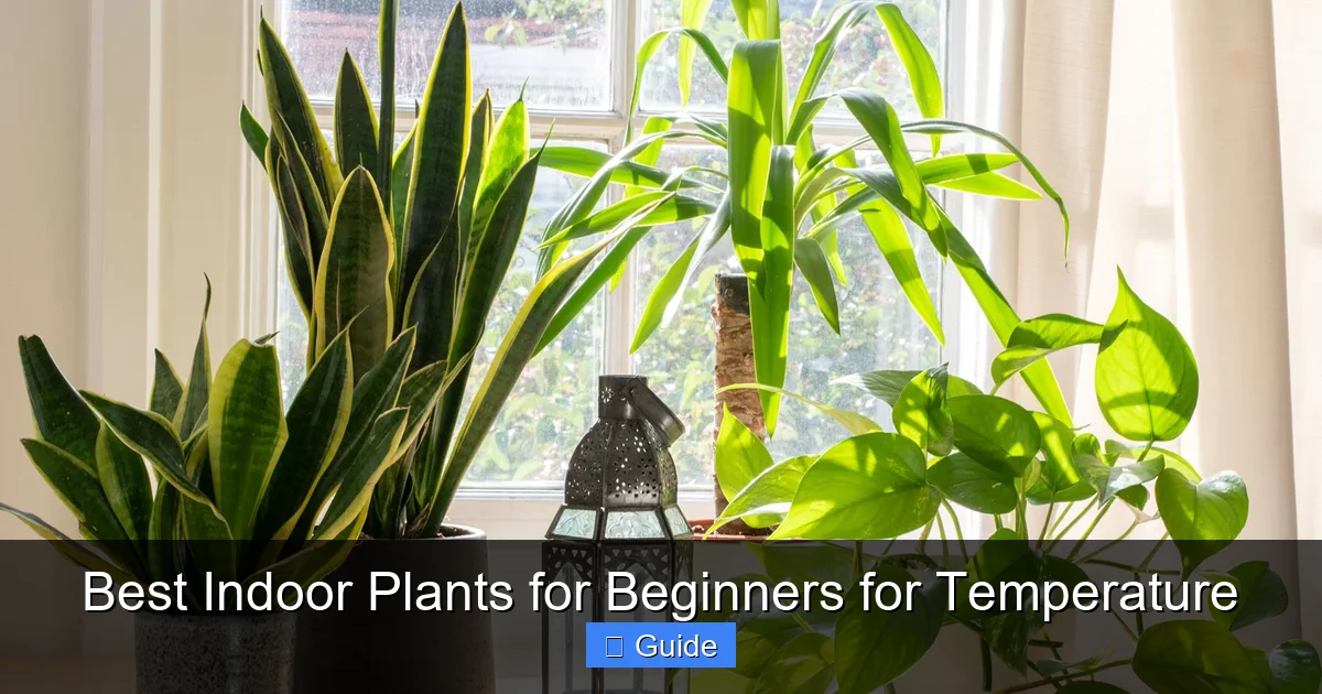 Best Indoor Plants for Beginners for Temperature