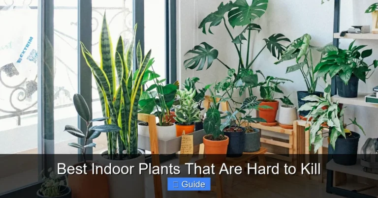 Best Indoor Plants That Are Hard to Kill