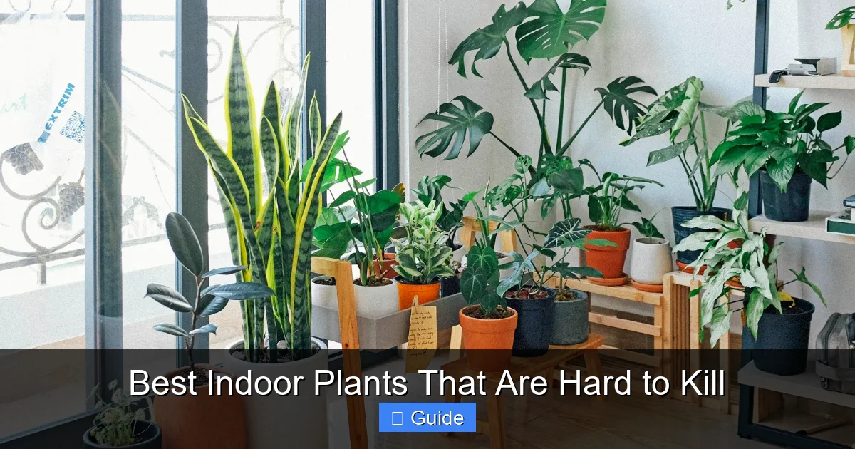 Best Indoor Plants That Are Hard to Kill