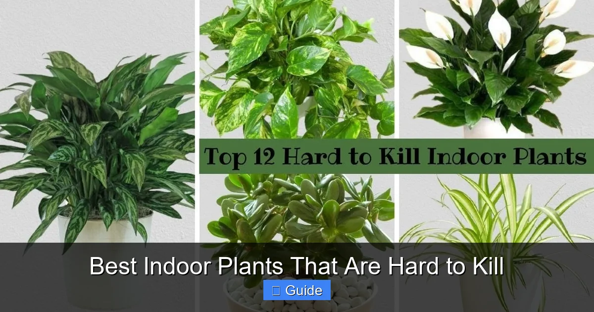 Best Indoor Plants That Are Hard to Kill