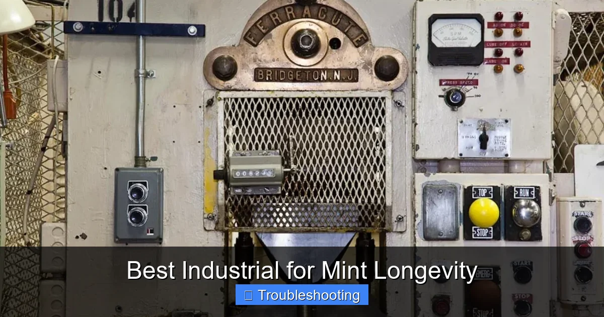 Best Industrial for Mint Longevity