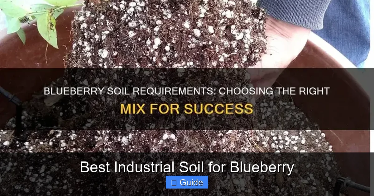 Best Industrial Soil for Blueberry