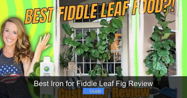 Best Iron for Fiddle Leaf Fig Review