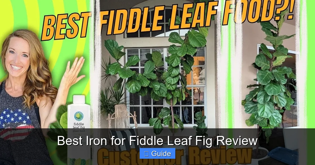 Best Iron for Fiddle Leaf Fig Review