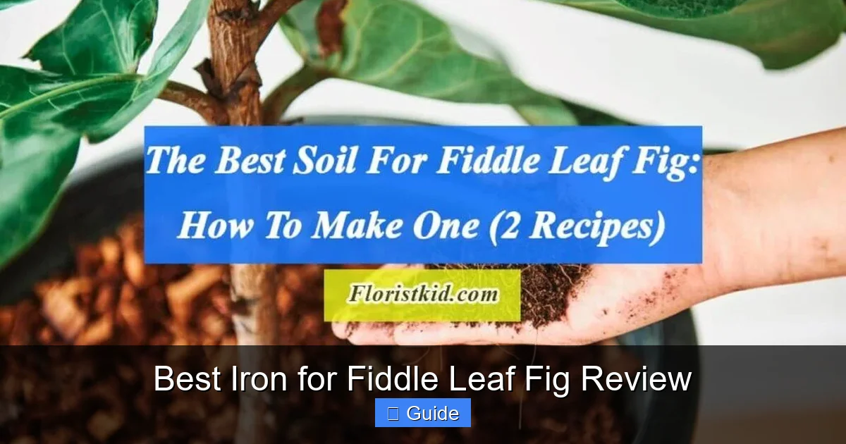 Best Iron for Fiddle Leaf Fig Review