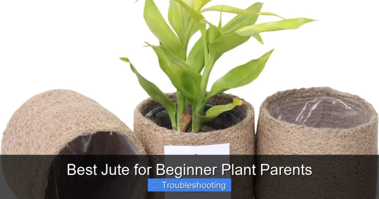 Best Jute for Beginner Plant Parents