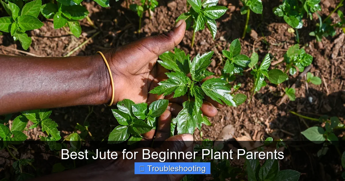 Best Jute for Beginner Plant Parents