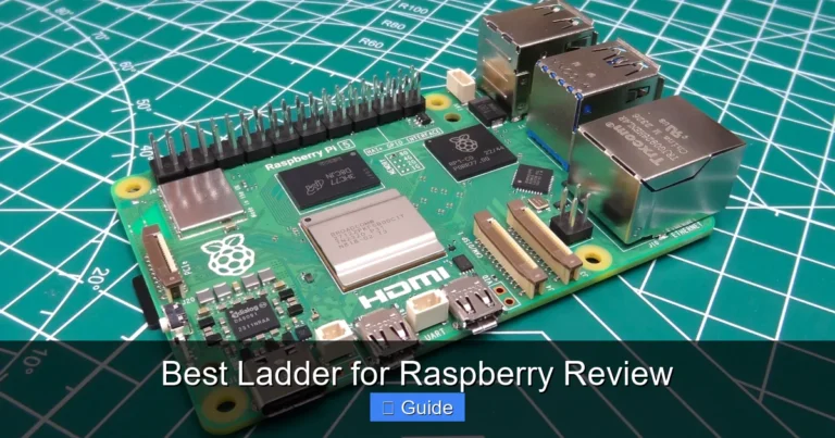 Best Ladder for Raspberry Review
