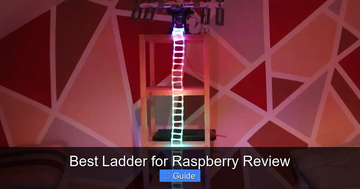 Best Ladder for Raspberry Review