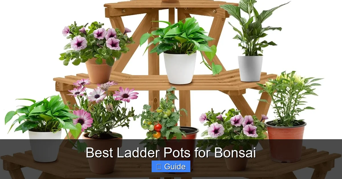 Best Ladder Pots for Bonsai