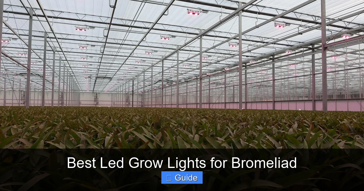 Best Led Grow Lights for Bromeliad