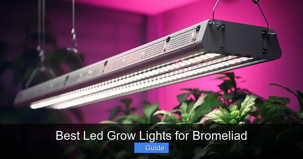 Best Led Grow Lights for Bromeliad