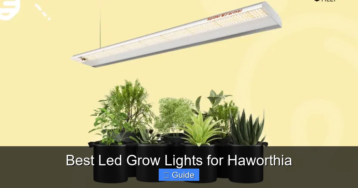 Best Led Grow Lights for Haworthia