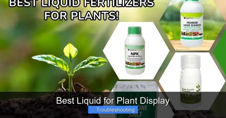 Best Liquid for Plant Display