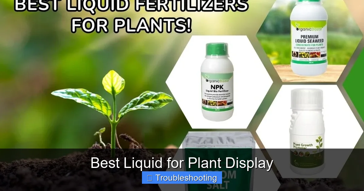 Best Liquid for Plant Display
