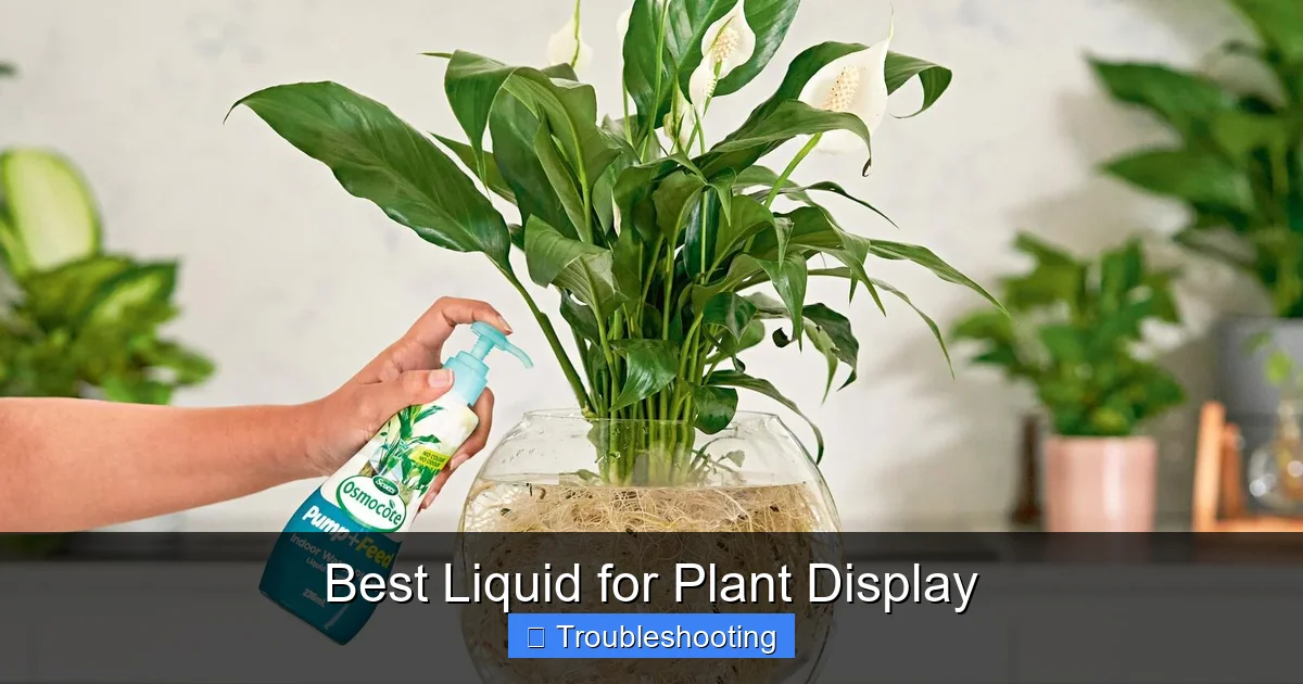Best Liquid for Plant Display