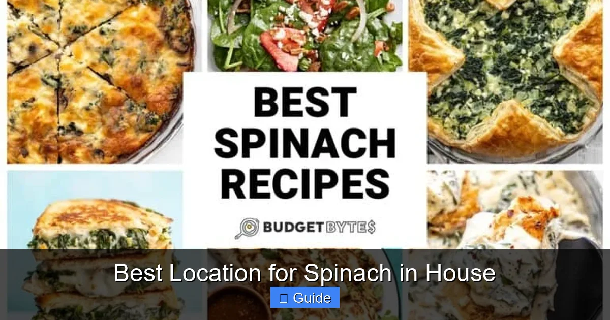 Best Location for Spinach in House