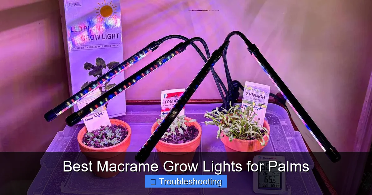 Best Macrame Grow Lights for Palms