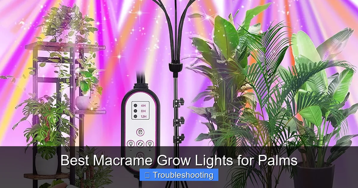 Best Macrame Grow Lights for Palms