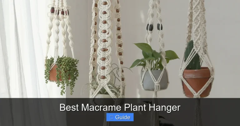Best Macrame Plant Hanger