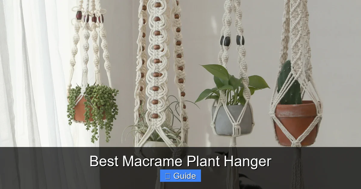 Best Macrame Plant Hanger