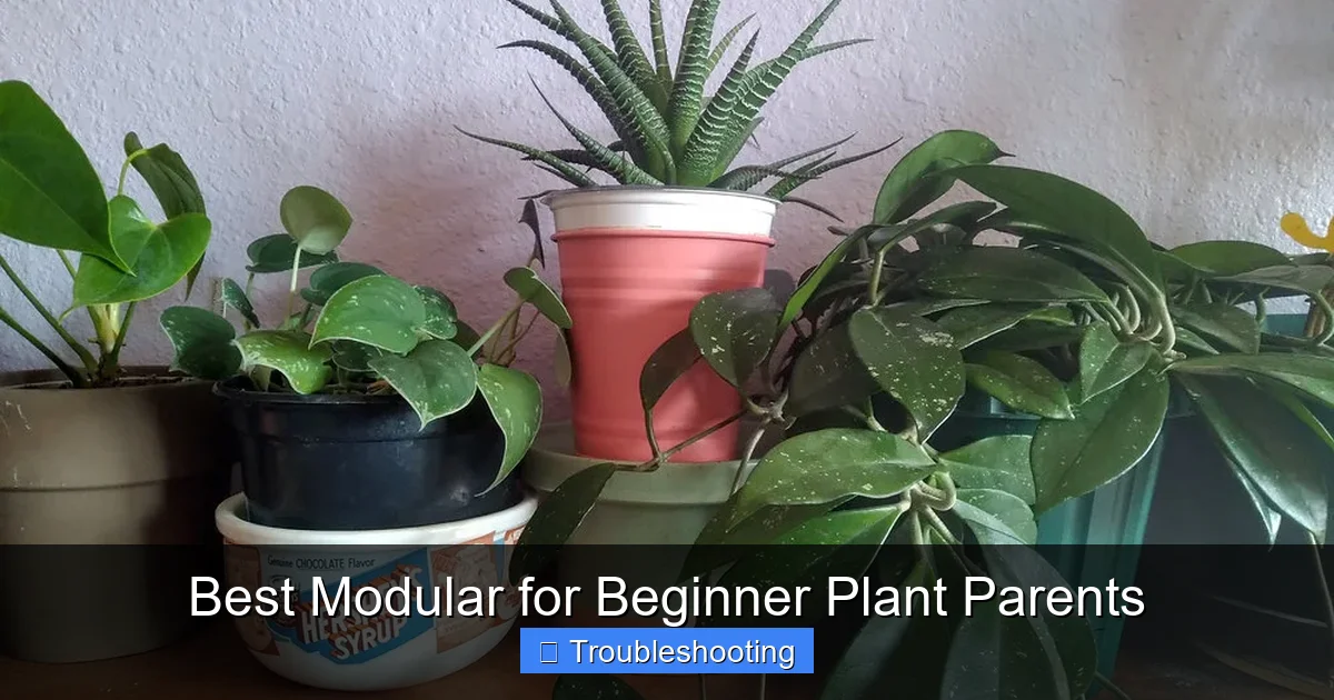 Best Modular for Beginner Plant Parents