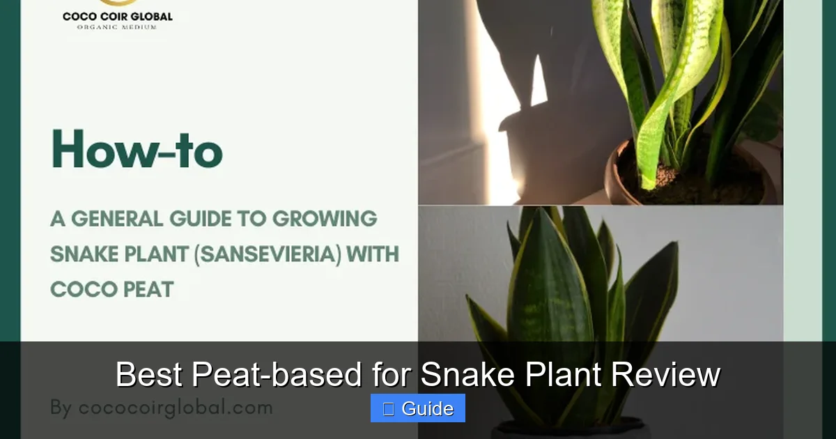 Best Peat-based for Snake Plant Review