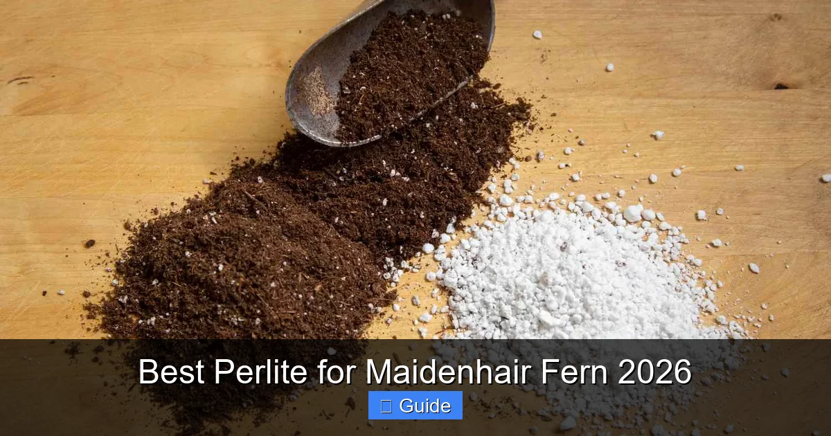Best Perlite for Maidenhair Fern 2026