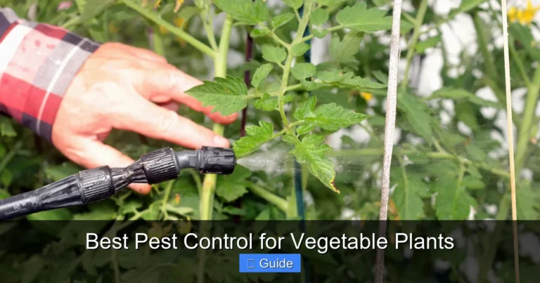 Best Pest Control for Vegetable Plants