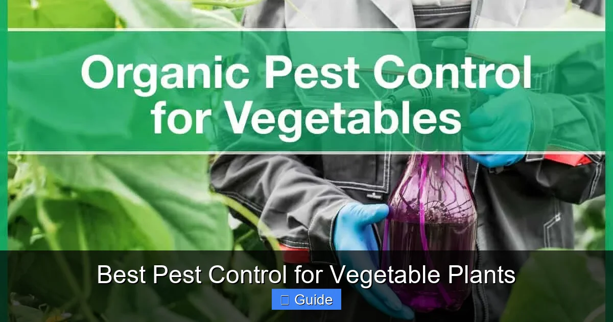 Best Pest Control for Vegetable Plants