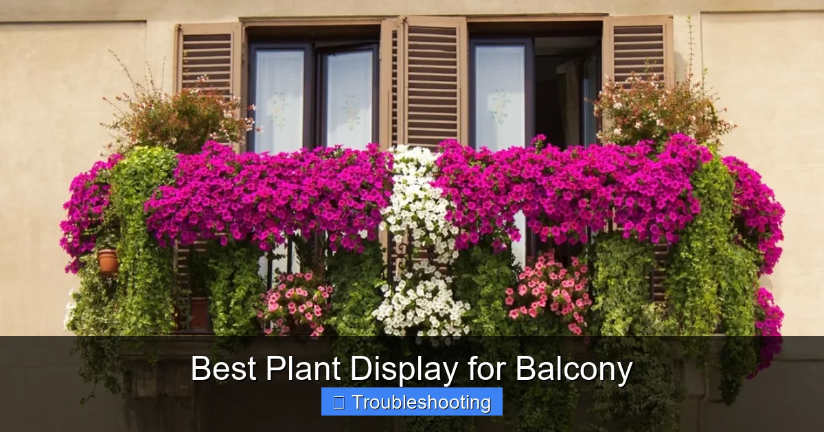 Best Plant Display for Balcony