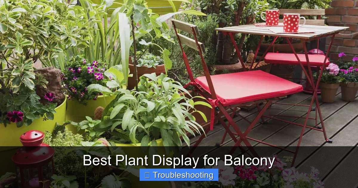 Best Plant Display for Balcony