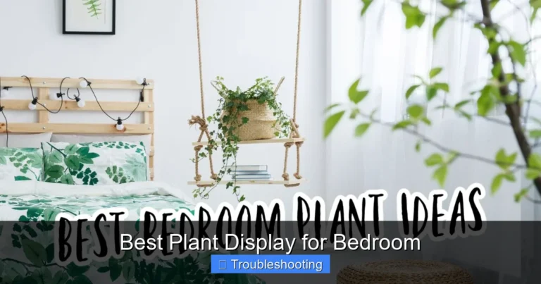 Best Plant Display for Bedroom