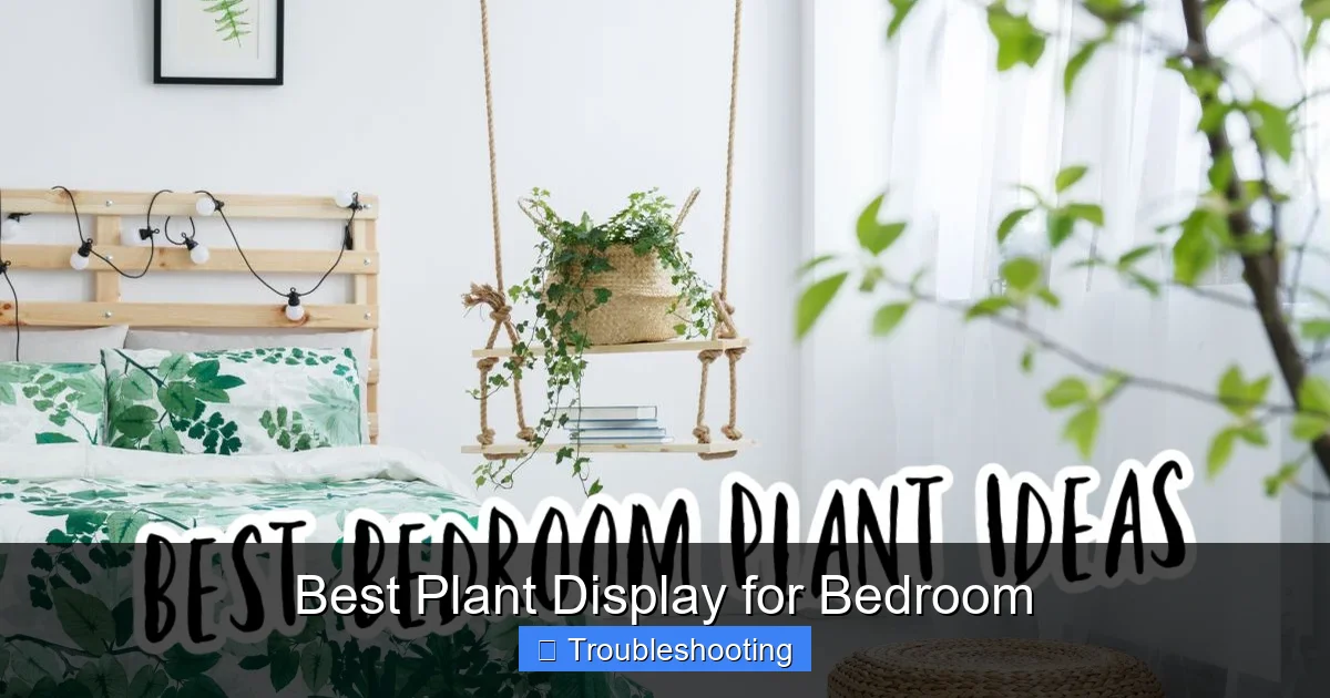 Best Plant Display for Bedroom