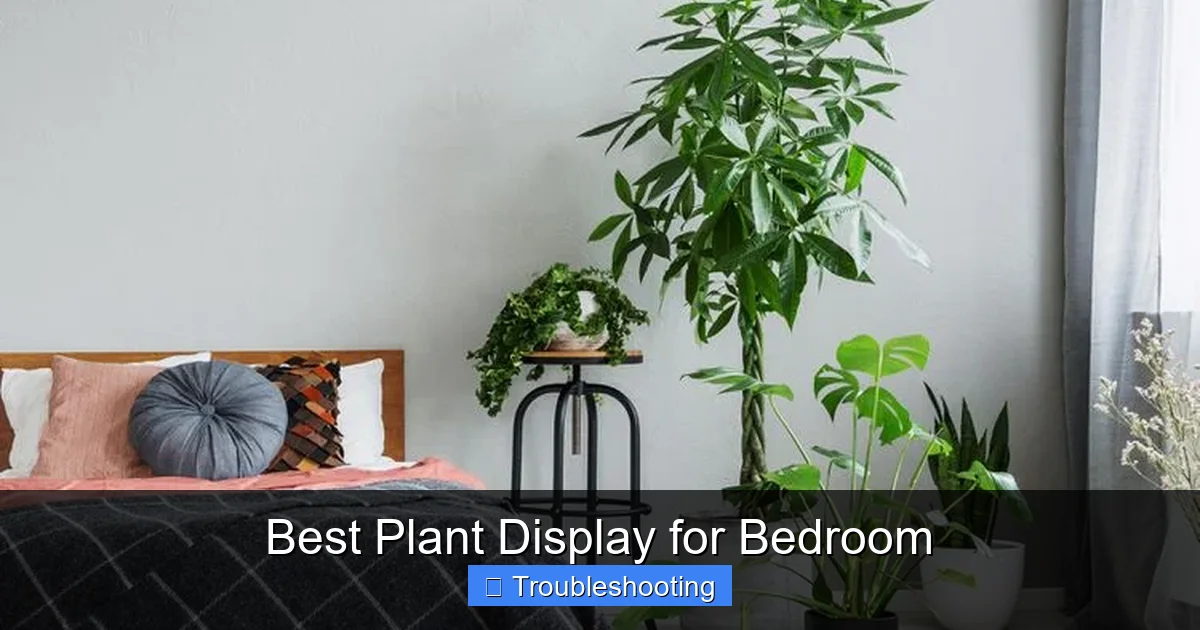 Best Plant Display for Bedroom