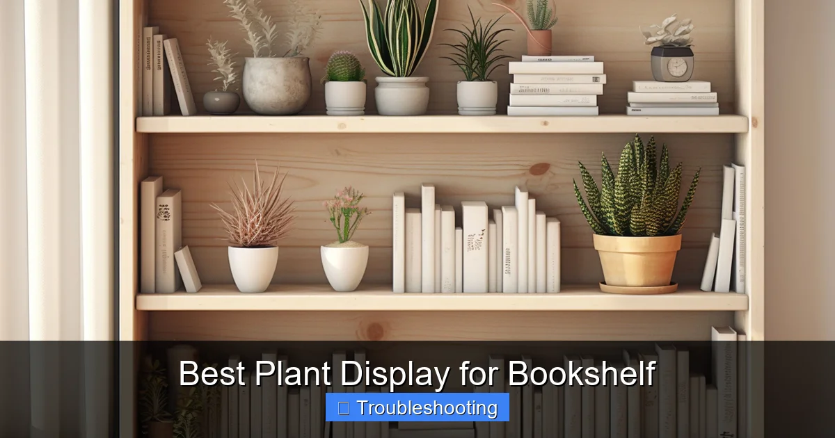 Best Plant Display for Bookshelf