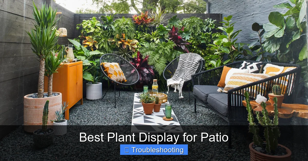 Best Plant Display for Patio